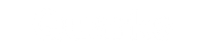 Quarks White Logo Transparent
