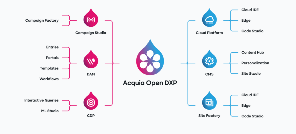Acquia DXP