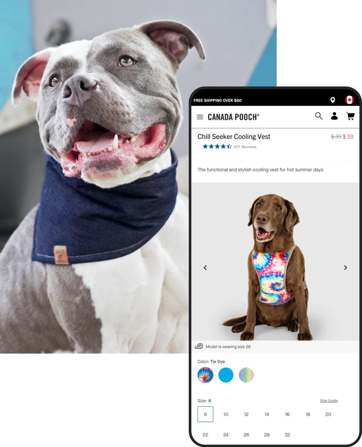 dog wearing scarf and a phone mockup displaying a product detail page