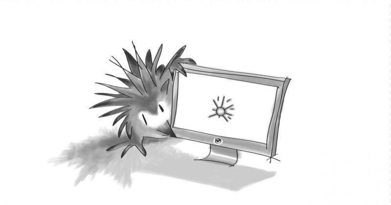 Echidna Blog