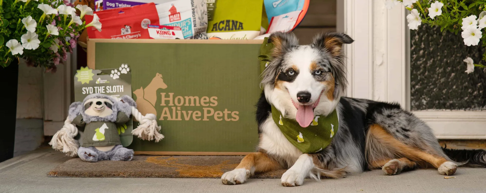 Homes Alive Pets.