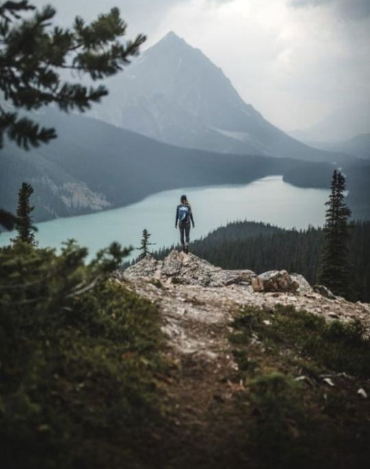 Girl in the forest looking at mountains